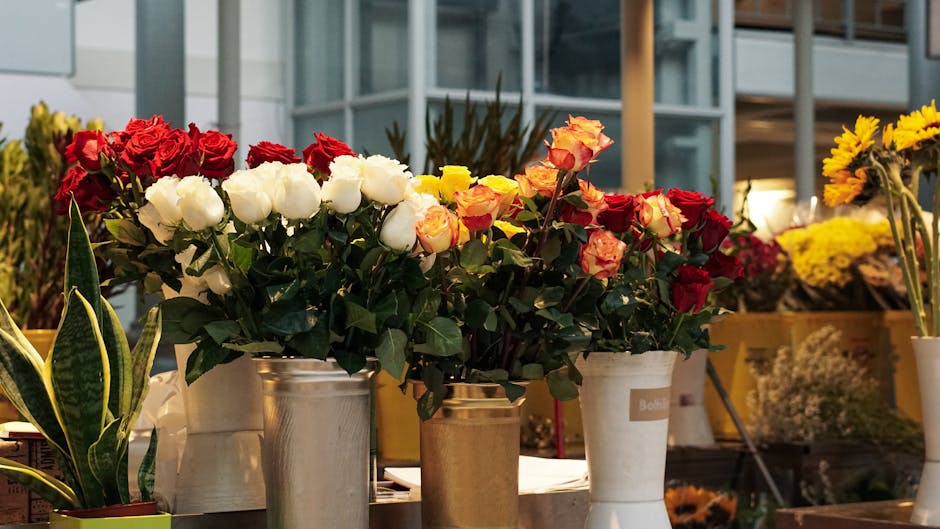 A close-up of a floral display featuring tightly arranged bouquets of fresh roses in various shades, including vibrant red, creamy white, and peachy-orange, placed in silver and white metal vases on a